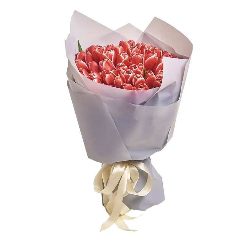 Букет из 51 красно-белого тюльпана